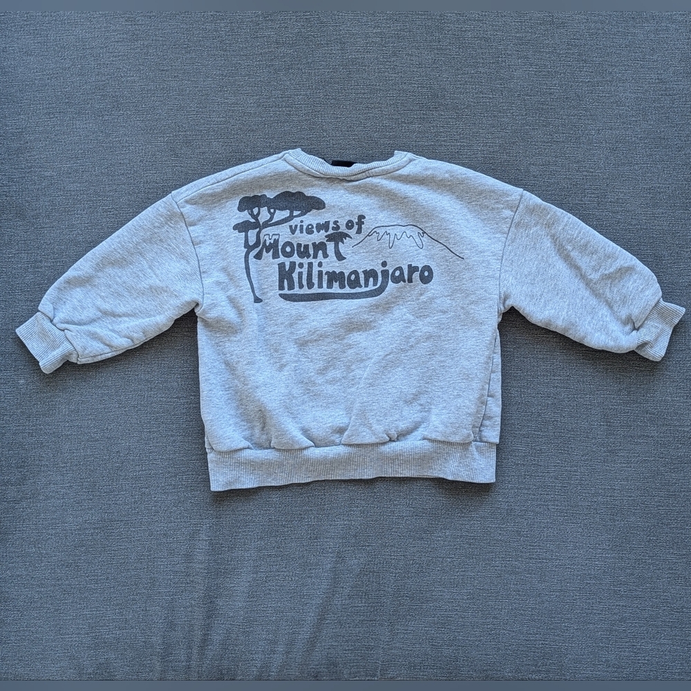 Mini Rodini Sweatshirt - Picture 2 of 4